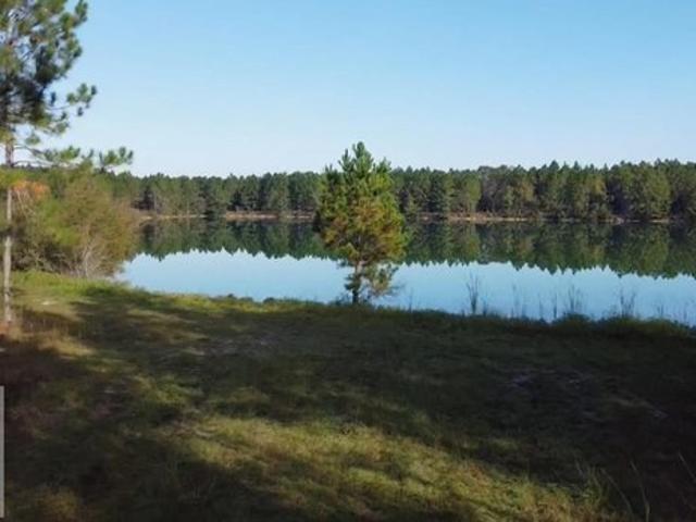 Land for sale in Odum, Georgia