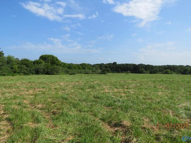Land for sale in Boaz, Alabama