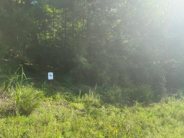 Land for sale in Tennessee
