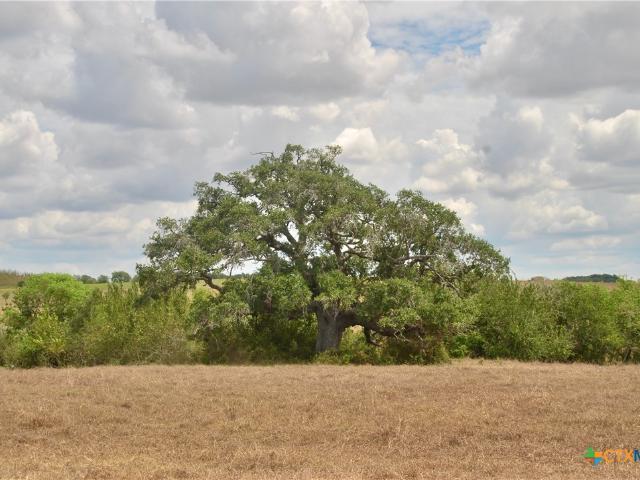 Farm for sale in Shiner, Texas