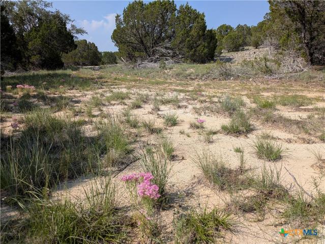 Land for sale in Kempner