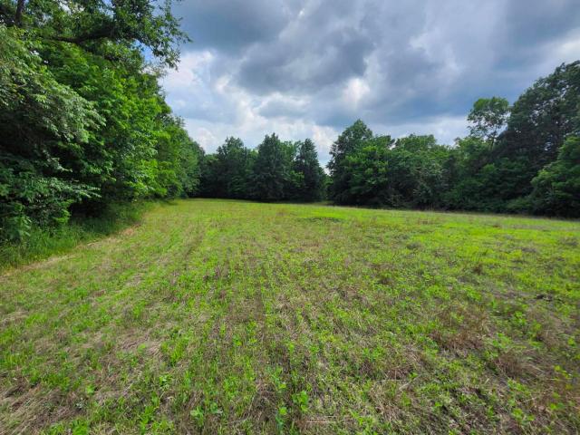 Land for sale in Sturgeon, Missouri