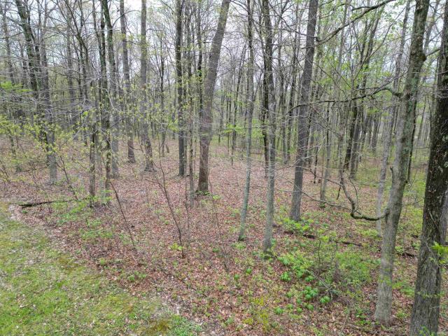 Land for sale in Bloomfield, Indiana