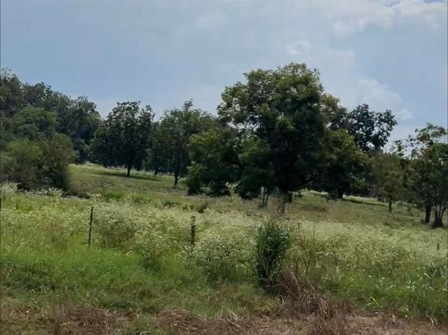 Land for sale in Midway, Texas