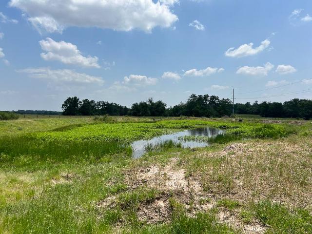 Land for sale in Grimes, Texas
