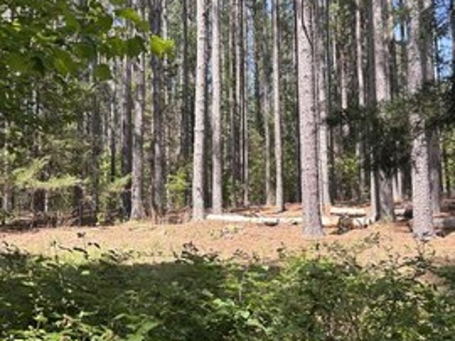 Land for sale in Virginia