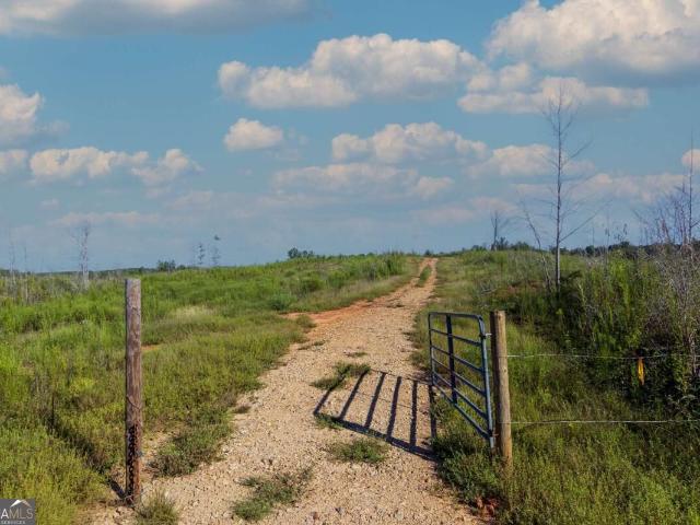 Land for sale in Talbot, Georgia