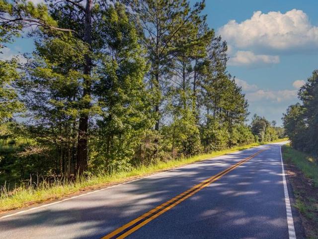 Land for sale in Talbot, Georgia