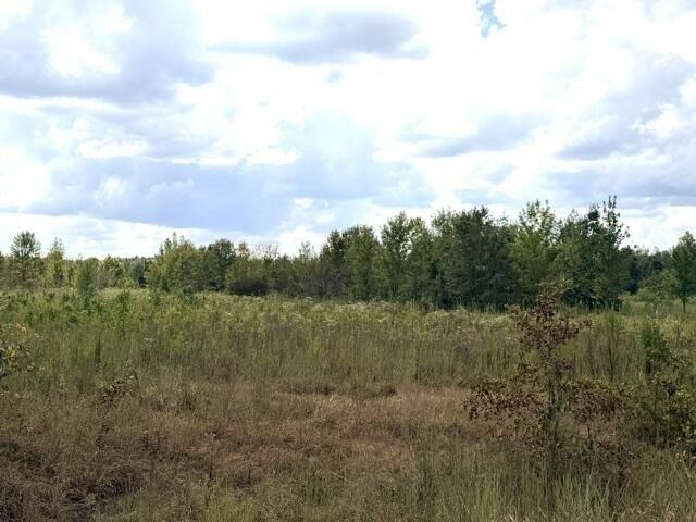 Land for sale in Oxford, Lafayette County