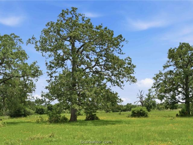 Land for sale in Robertson, Texas