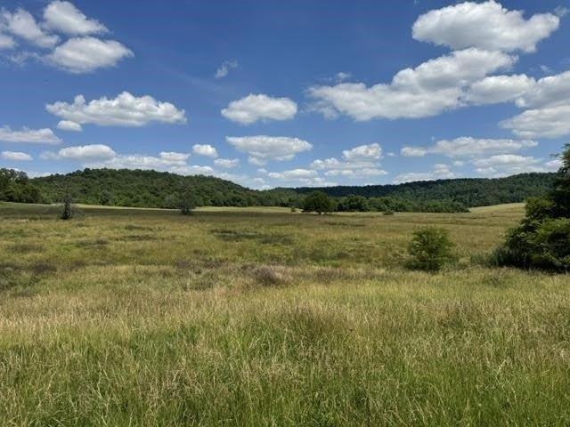 Land for sale in Horse Cave, Kentucky