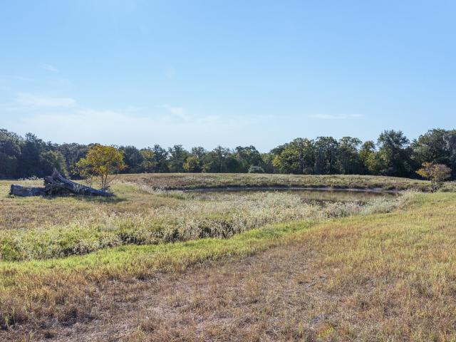 Land for sale in Limestone, Texas