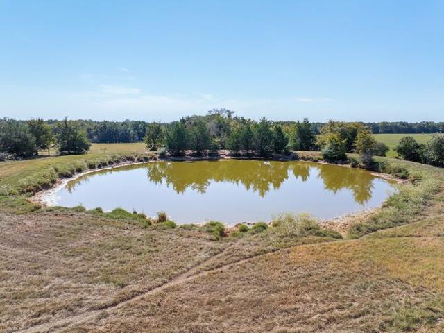 Land for sale in Limestone, Texas