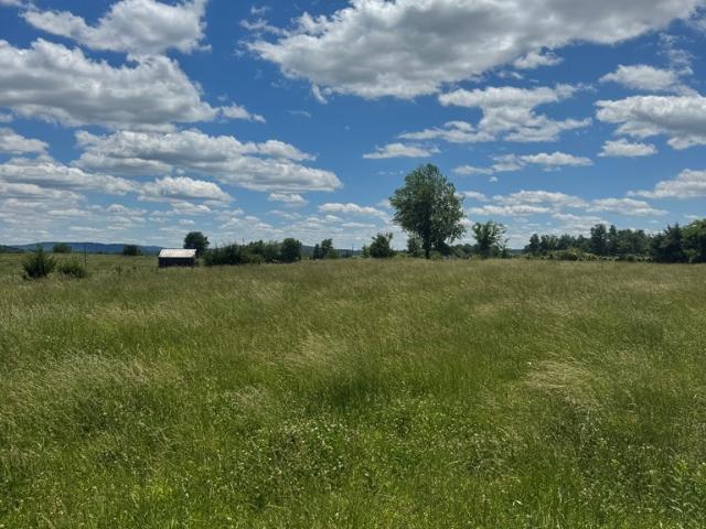Land for sale in Albany, Kentucky