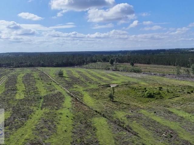 Land for sale in Baxley, Georgia
