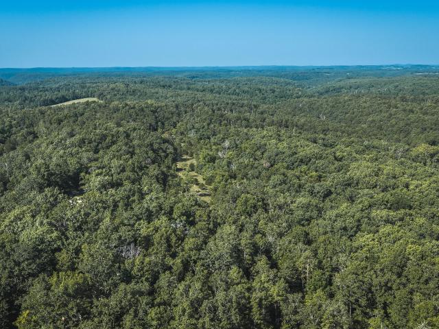 Land for sale in Norwood, Missouri