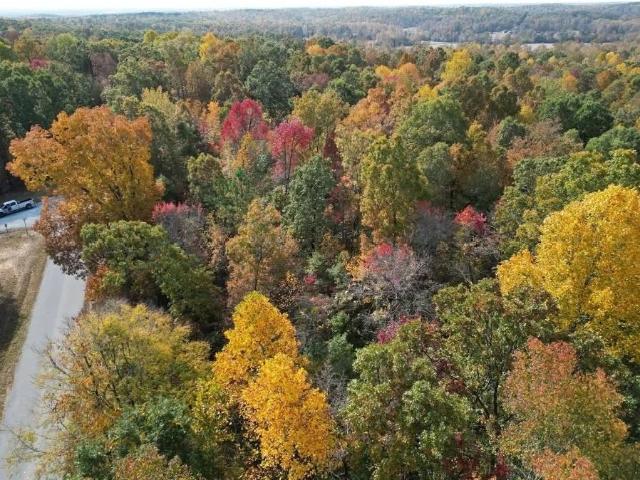 Land for sale in Huntingdon, West Tennessee