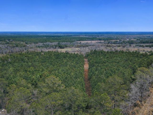 Land for sale in Odum, Georgia