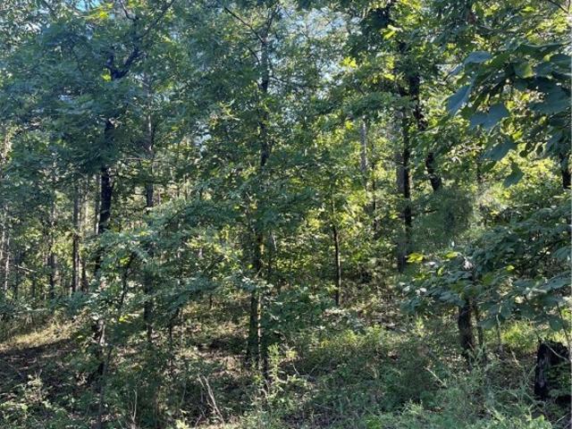 Land for sale in Red Oak, Oklahoma