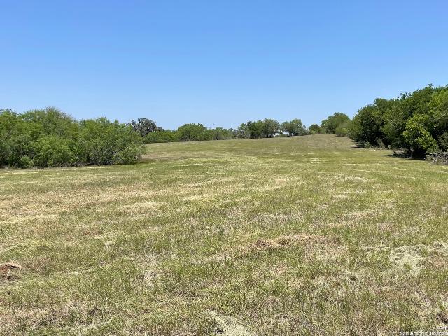Land for sale in Bee, Texas