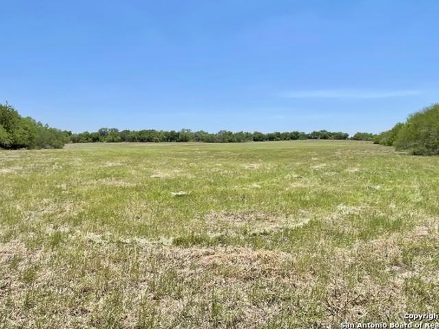 Land for sale in Bee, Texas