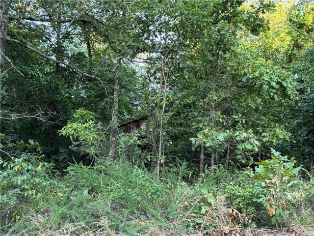 Land for sale in Ark