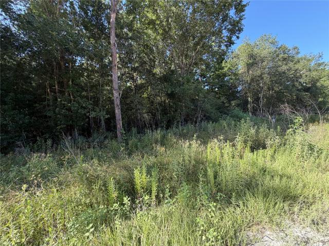 Land for sale in Sour Lake, Texas
