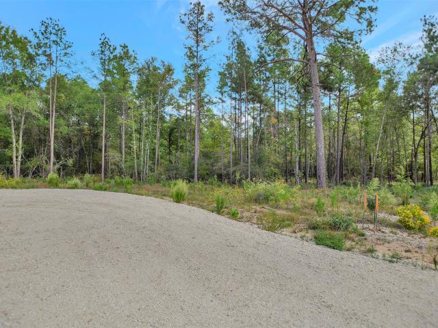 Land for sale in Crockett, Texas