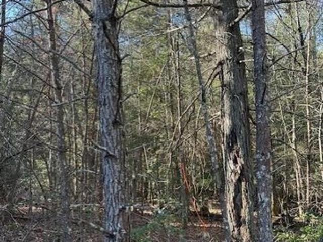 Land for sale in Tennessee