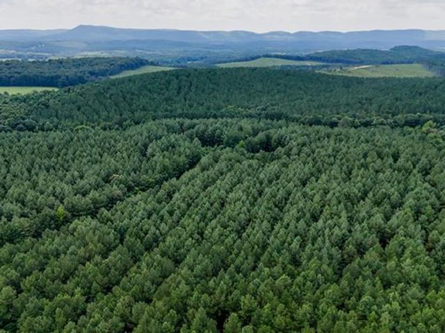 Land for sale in Lyerly, Georgia