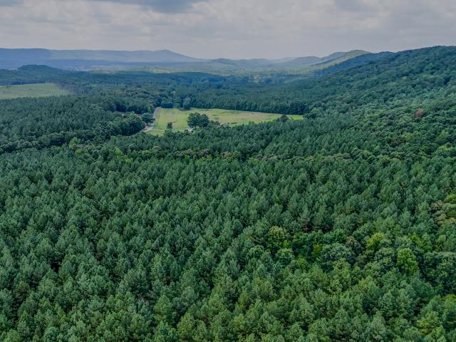 Land for sale in Lyerly, Georgia