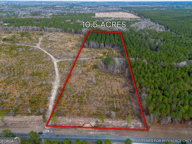 Land for sale in Dodge, Georgia