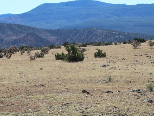 Land for sale in New Mexico