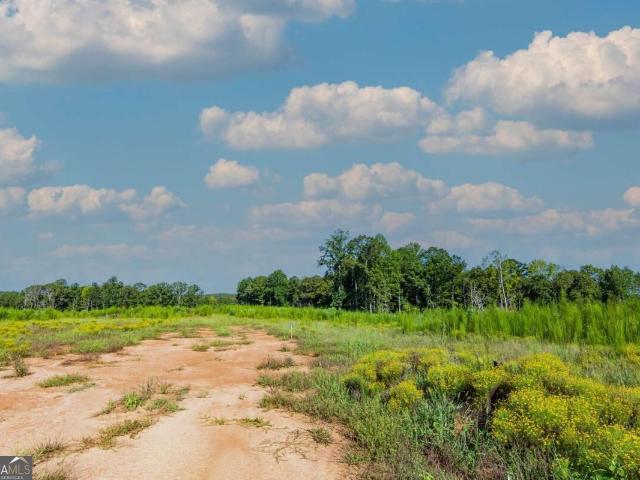 Land for sale in Woodland, Talbot County