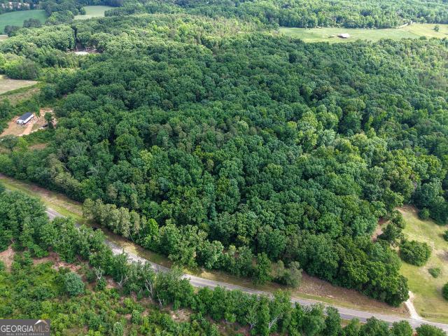 Land for sale in Banks, Georgia