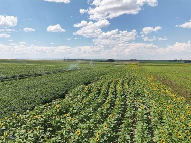 Land for sale in Montana