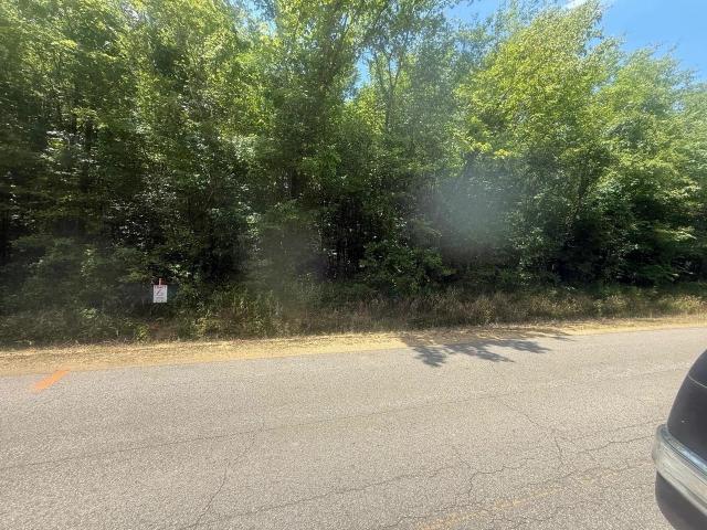 Land for sale in Savannah, West Tennessee