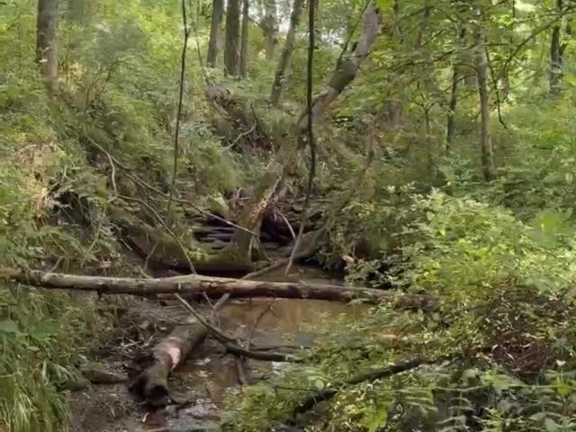Land for sale in Shelbyville, Kentucky