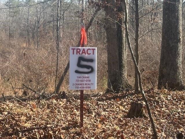 Land for sale in Bolivar, West Tennessee