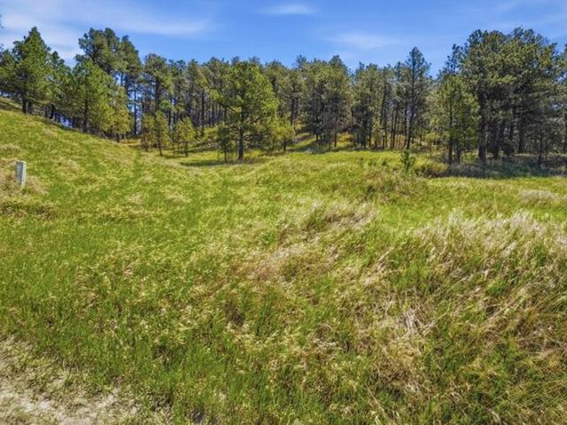 Land for sale in Rapid City, South Dakota