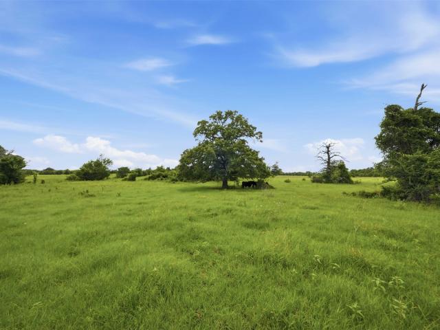 Land for sale in Robertson, Texas