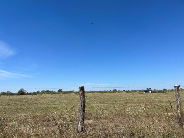 Land for sale in Cat Spring, Texas