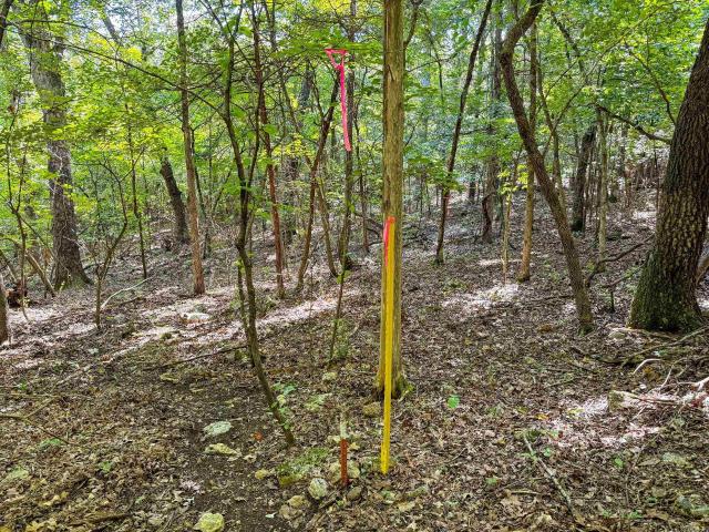 Land for sale in Ark