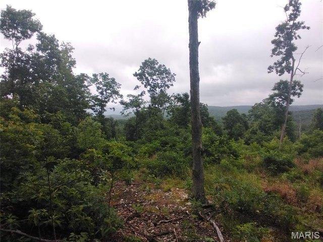 Land for sale in Missouri