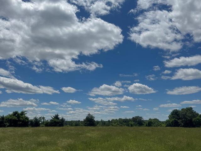 Land for sale in Albany, Kentucky