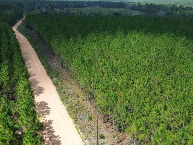 Land for sale in Baxley, Georgia