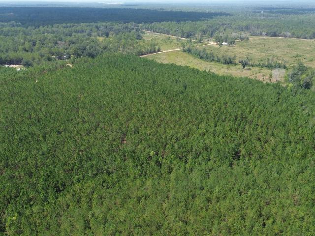 Land for sale in Baxley, Georgia