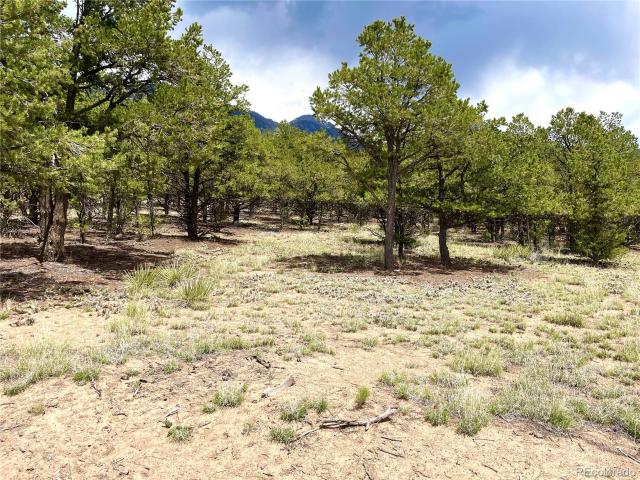 Land for sale in Crestone, Colorado
