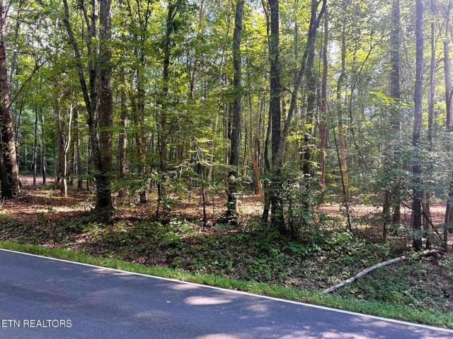 Land for sale in Pleasant Hill, East Tennessee