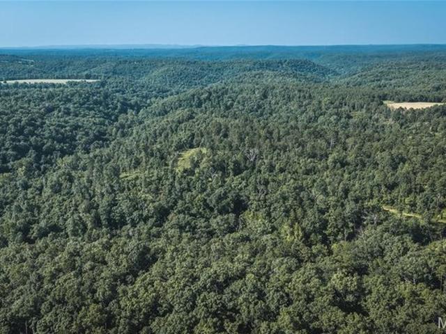 Land for sale in Norwood, Missouri